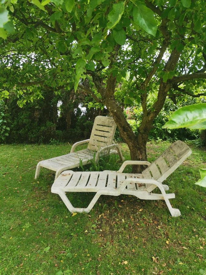 Ruhe Am Wald - Zentral Und Woerthersee كلاغنفورت المظهر الخارجي الصورة